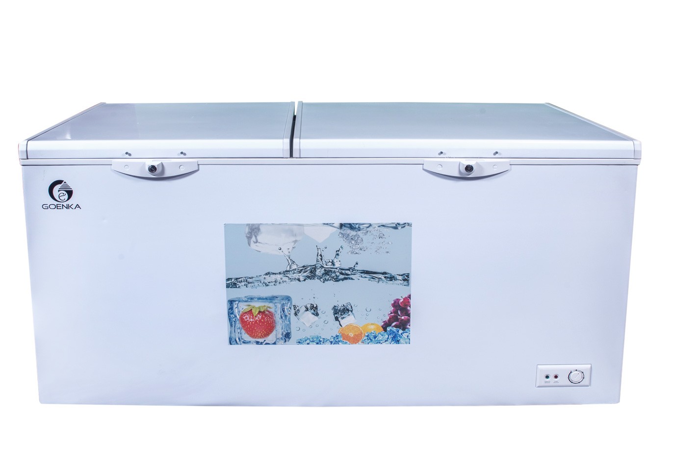 Goenka Double Door Chest Freezers