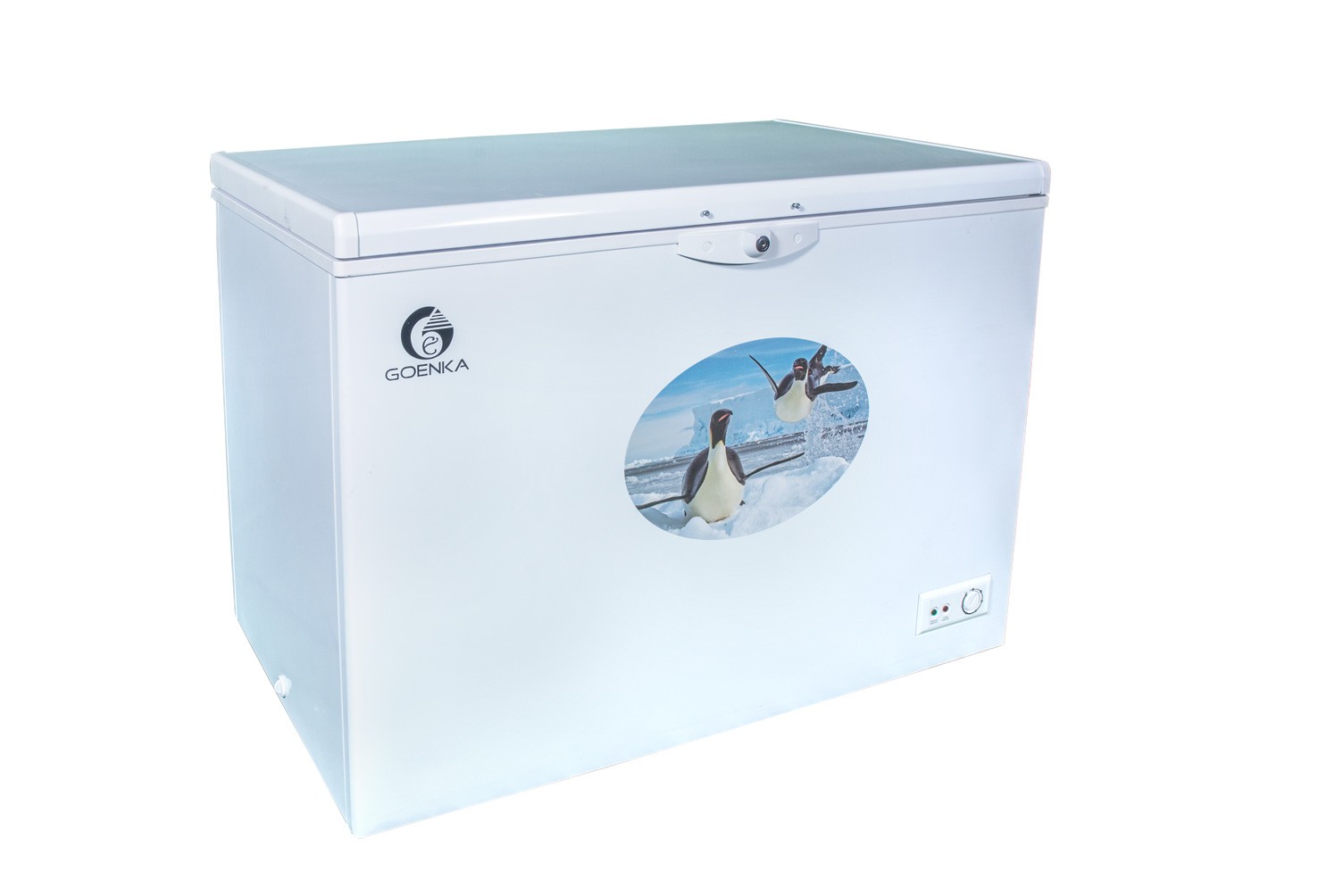 Goenka Single Door Chest Freezers